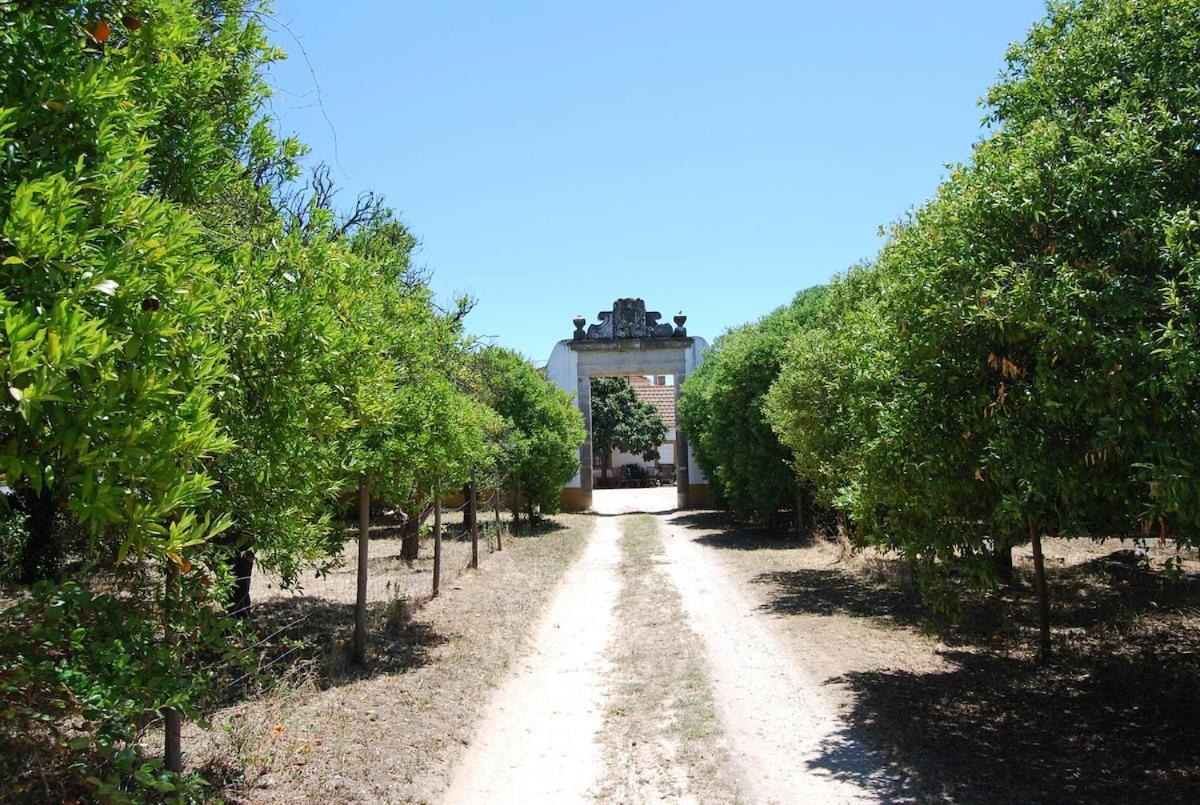 Quinta Do Casalinho - Benfica Do Ribatejo Villa Eksteriør bilde